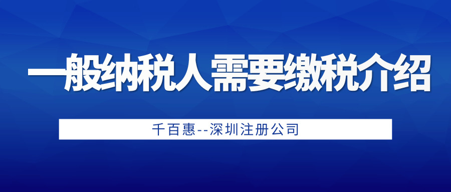一般納稅人 一般納稅人